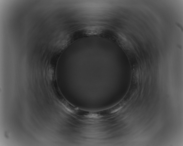 X0000097590227200803071328