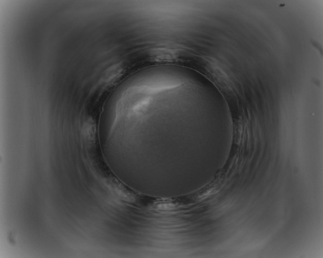 X0000097590228200803071328