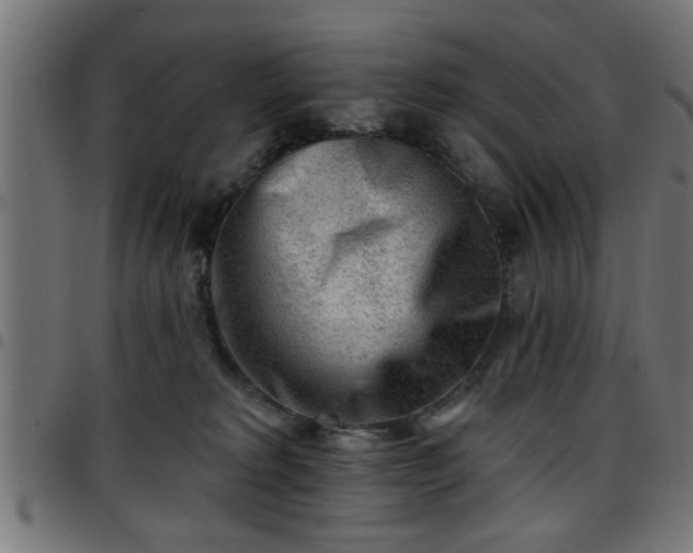 X0000097590229200803071328