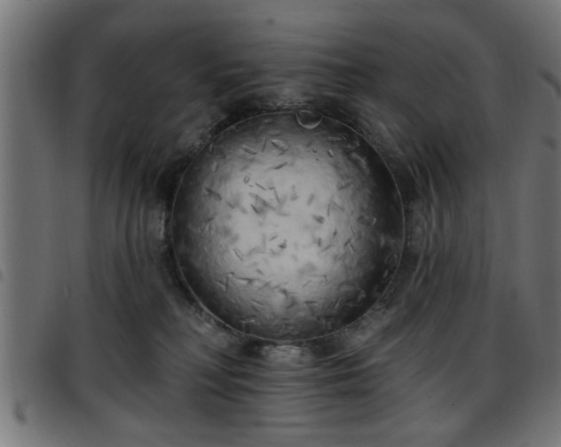 X0000097590230200803071328