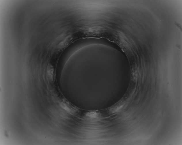 X0000097590231200803071328