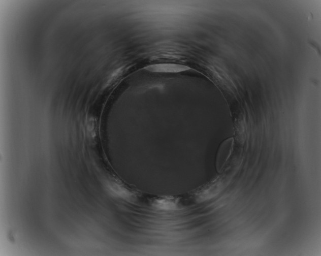 X0000097590232200803071328