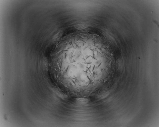 X0000097590234200803071328