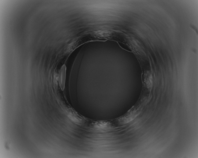 X0000097590235200803071328