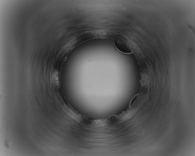 X0000097590238200803071328