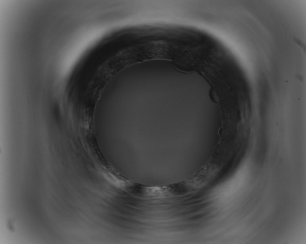 X0000097590239200803071328