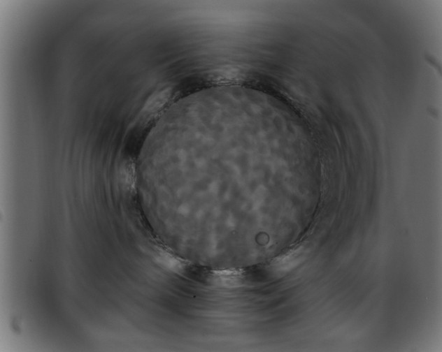 X0000097590240200803071328