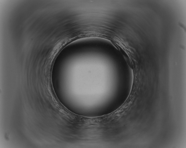 X0000097590241200803071327