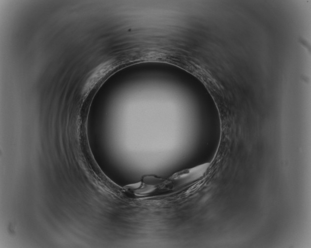 X0000097590242200803071327