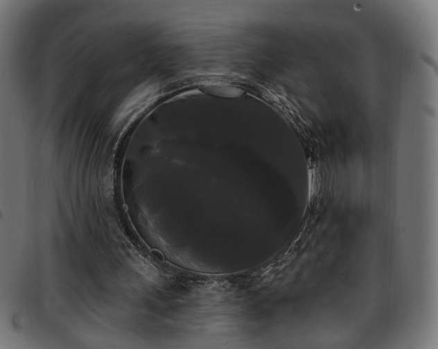 X0000097590243200803071327