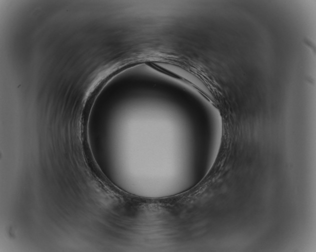 X0000097590244200803071327