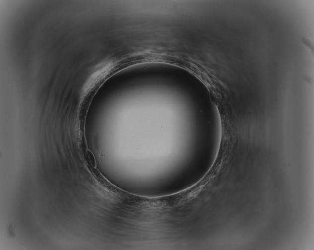 X0000097590245200803071327