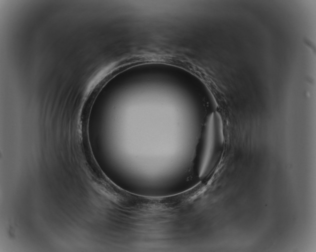 X0000097590246200803071327