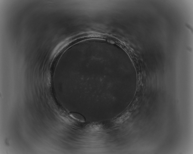 X0000097590247200803071327