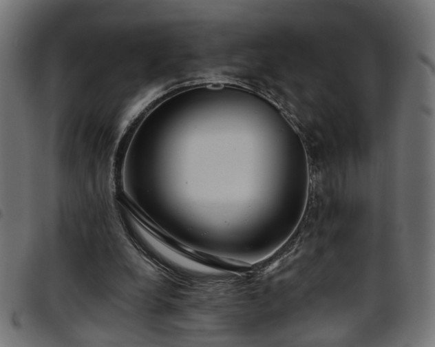 X0000097590248200803071327