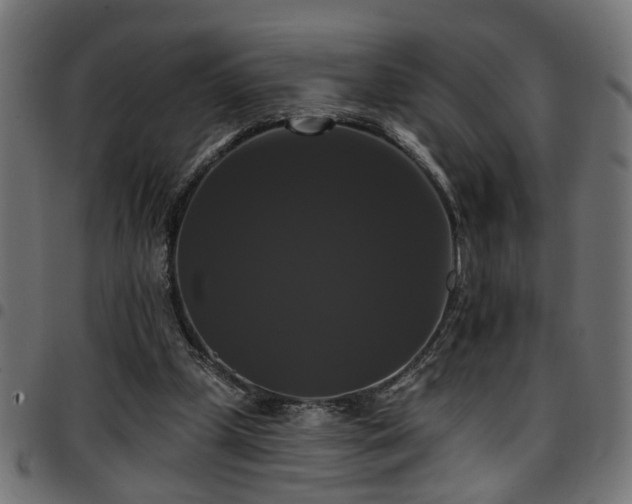 X0000097590249200803071327