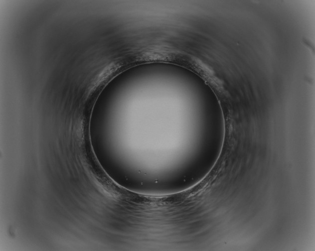 X0000097590250200803071327