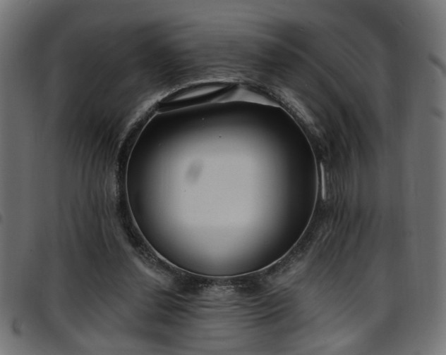 X0000097590252200803071327