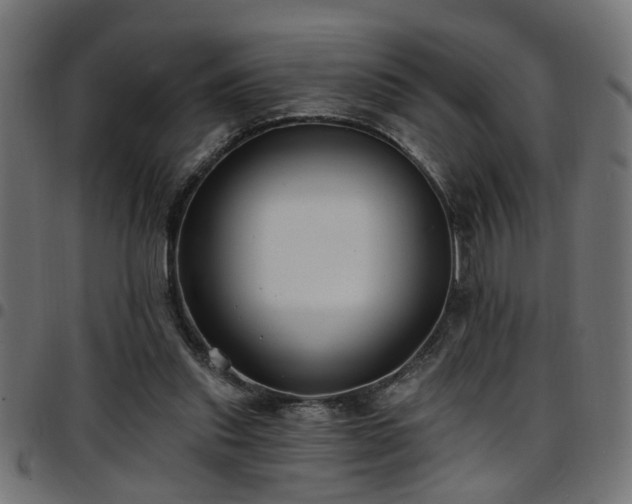 X0000097590253200803071327