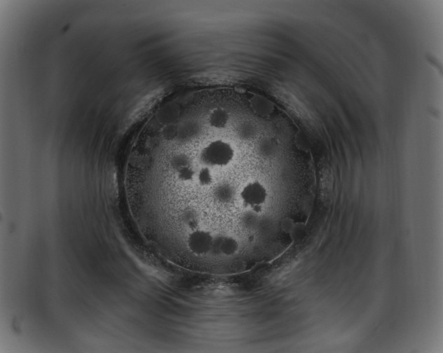 X0000097590254200803071327