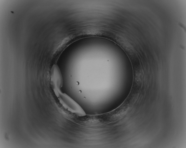 X0000097590256200803071327