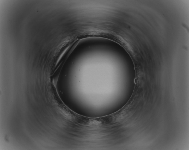 X0000097590257200803071327