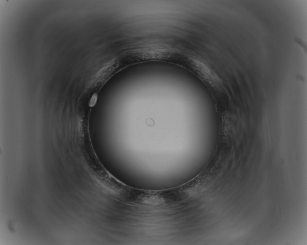 X0000097590258200803071327