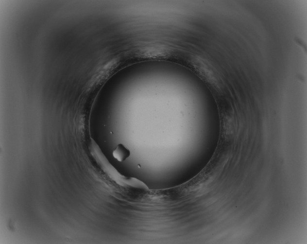 X0000097590260200803071327