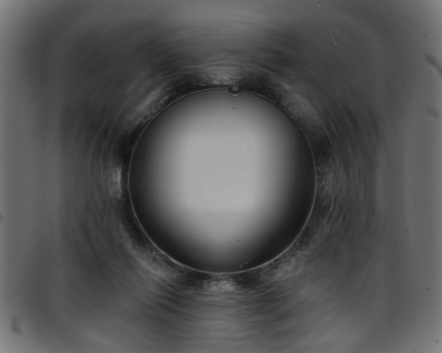 X0000097590262200803071327