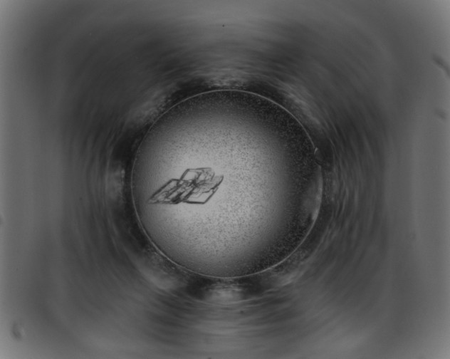 X0000097590263200803071327