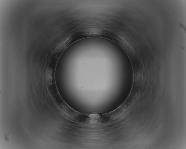 X0000097590264200803071327