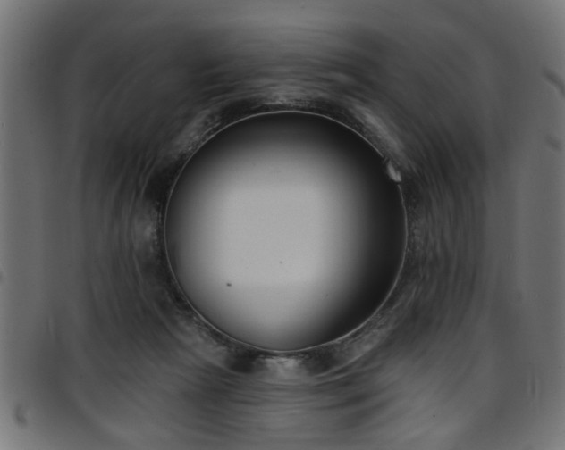 X0000097590265200803071327