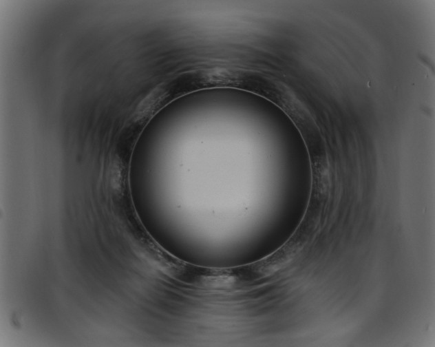 X0000097590266200803071327