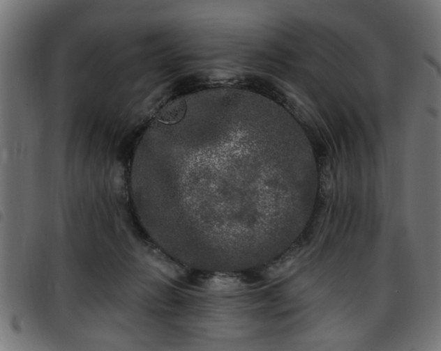 X0000097590270200803071327