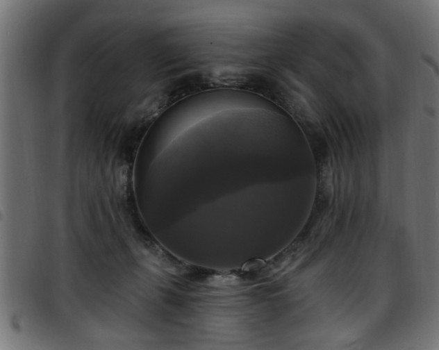 X0000097590271200803071327