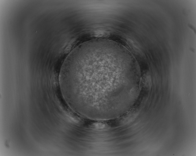 X0000097590272200803071327