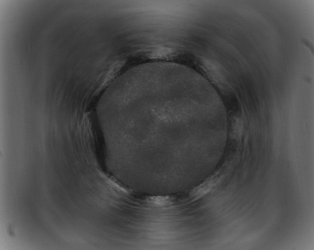 X0000097590273200803071327