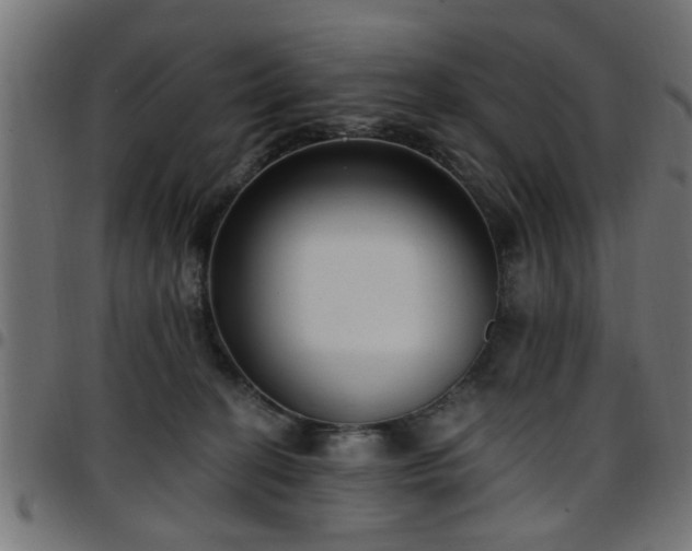 X0000097590274200803071327