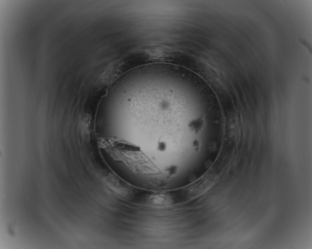 X0000097590275200803071327