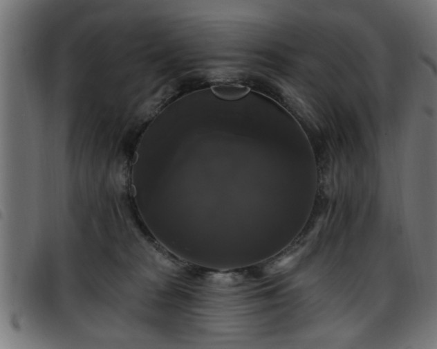 X0000097590277200803071327