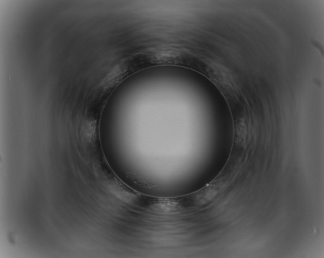 X0000097590278200803071327