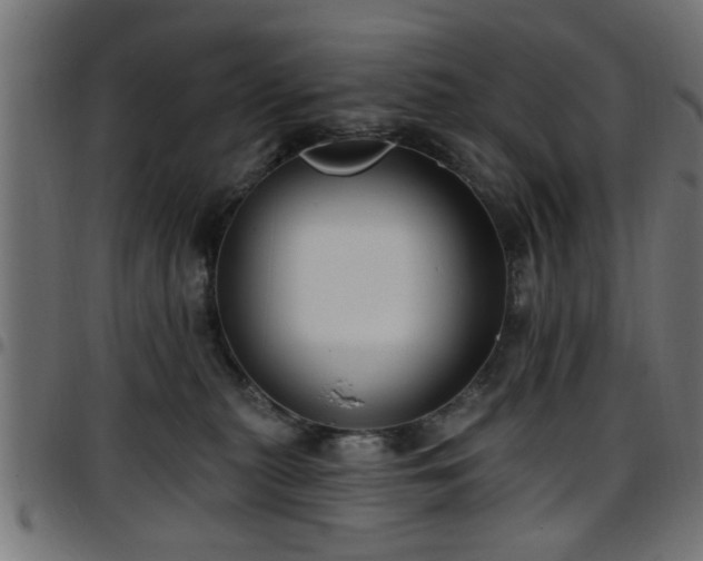 X0000097590279200803071328