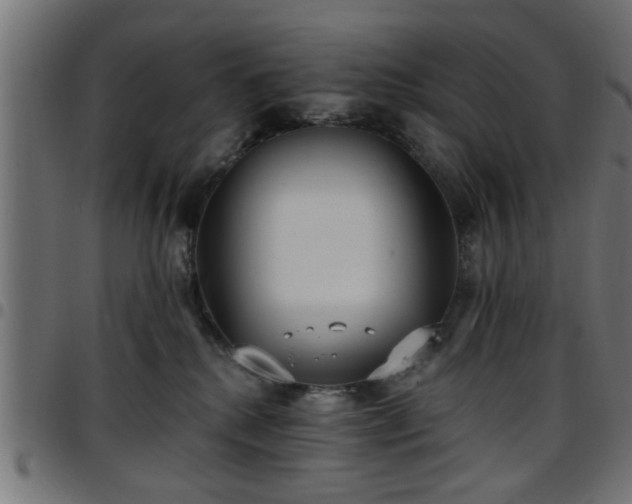 X0000097590280200803071328