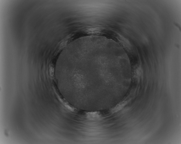 X0000097590281200803071328