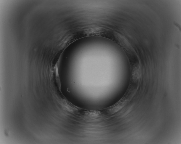 X0000097590282200803071328