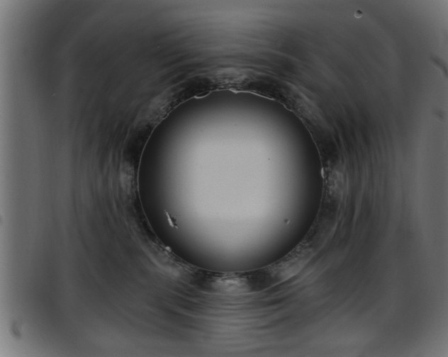 X0000097590283200803071328