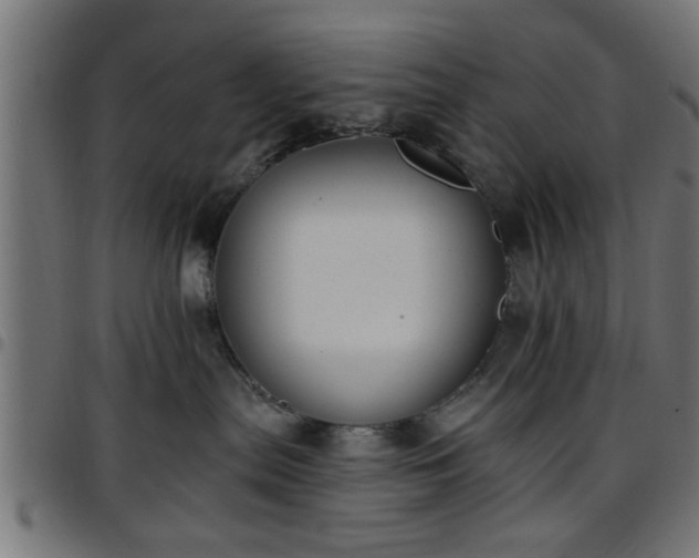 X0000097590287200803071328