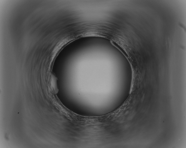 X0000097590289200803071327