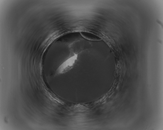 X0000097590290200803071327