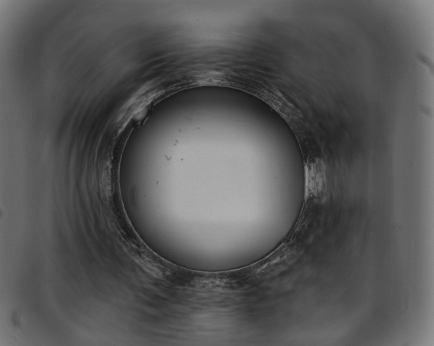 X0000097590291200803071327